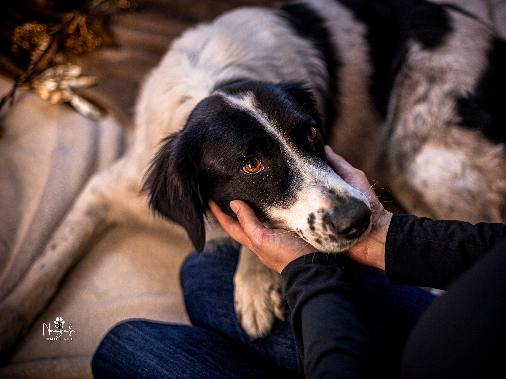 Schwarz-weiß Foto von Lucy.